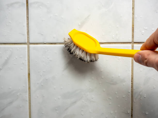 Best Commercial Mold Removal  in Bayou Cane, LA