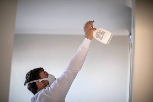 Best Mold Remediation Experts  in Bayou Cane, LA