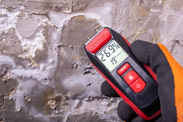 Best Residential Mold Removal  in Bayou Cane, LA