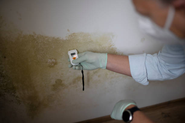 Best Crawl Space Mold Removal  in Bayou Cane, LA
