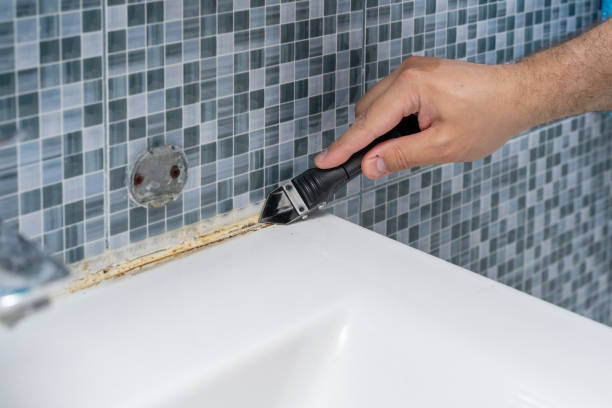 Best Local Mold Removal Service  in Bayou Cane, LA