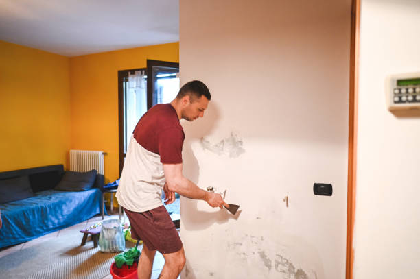 Best Mold Removal and Inspection  in Bayou Cane, LA